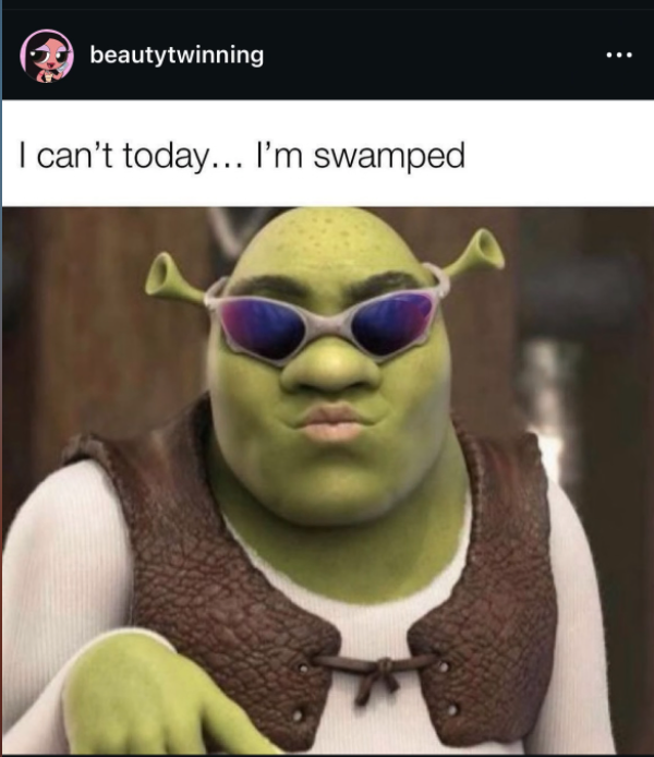 slay sassy shrek meme